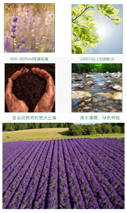 7.png 7.png