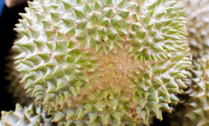 3.png 3.png
