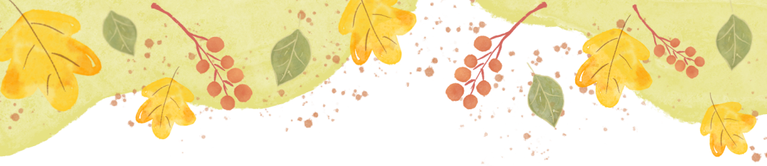 5.png 5.png