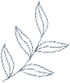 1.png 1.png