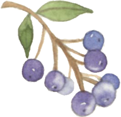 640 (4).png 640 (4).png