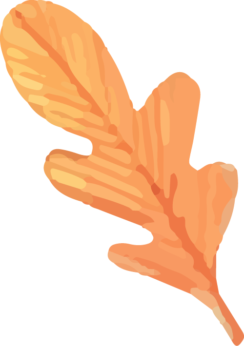 微信图片_2026-02-18_115603_953.png 微信图片_2026-02-18_115603_953.png