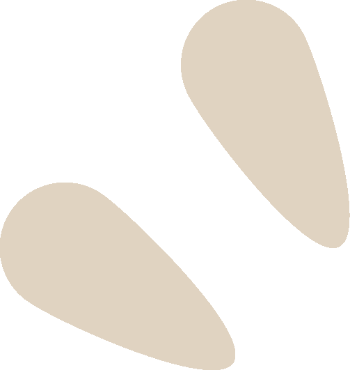640.png