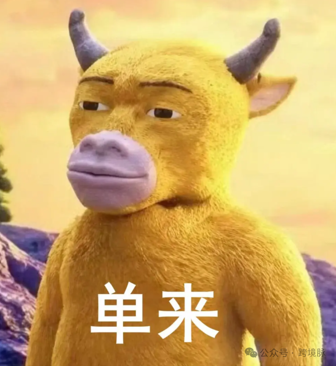 640 (1).png
